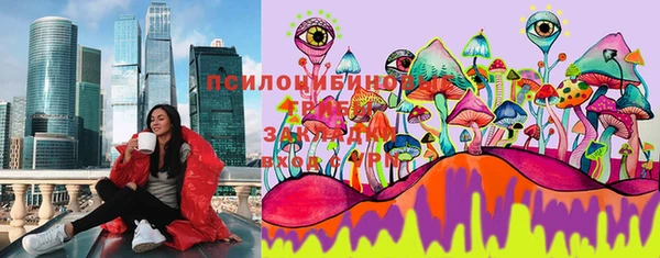 кокс Алексин