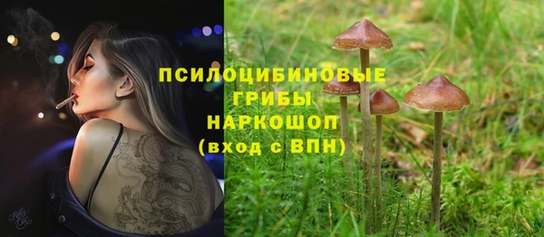 кокс Алексин